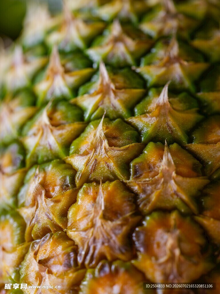 菠萝特写