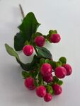 粉色浆果绿叶装饰植物