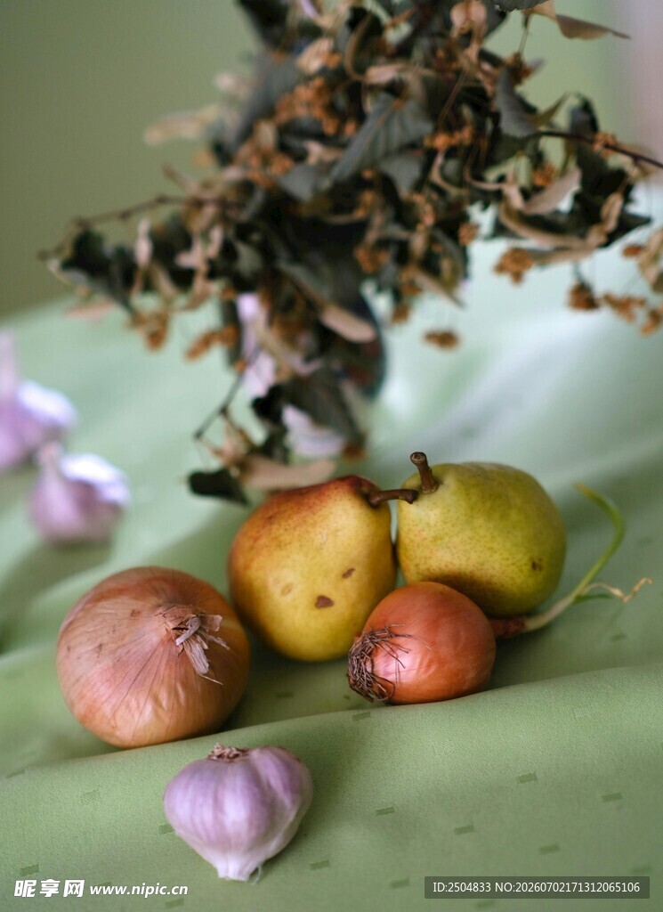 干枯植物与果实静物图