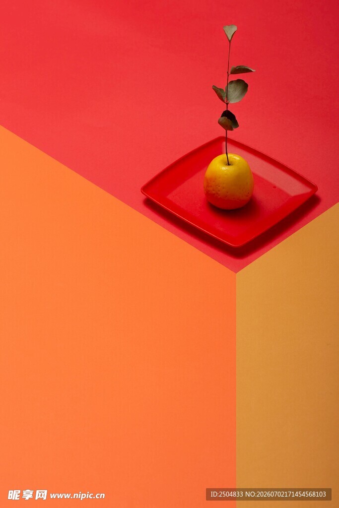 红盘水果创意静物图