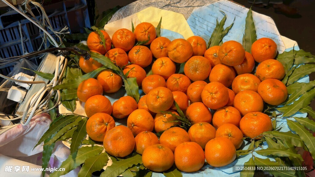 新鲜饱满的橘子堆成小山