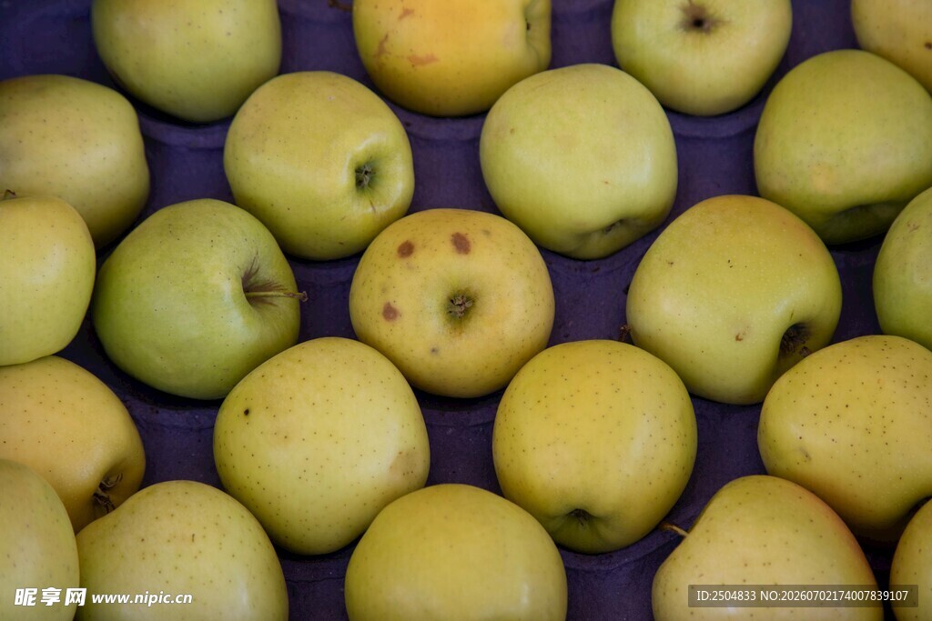黄苹果堆叠展示
