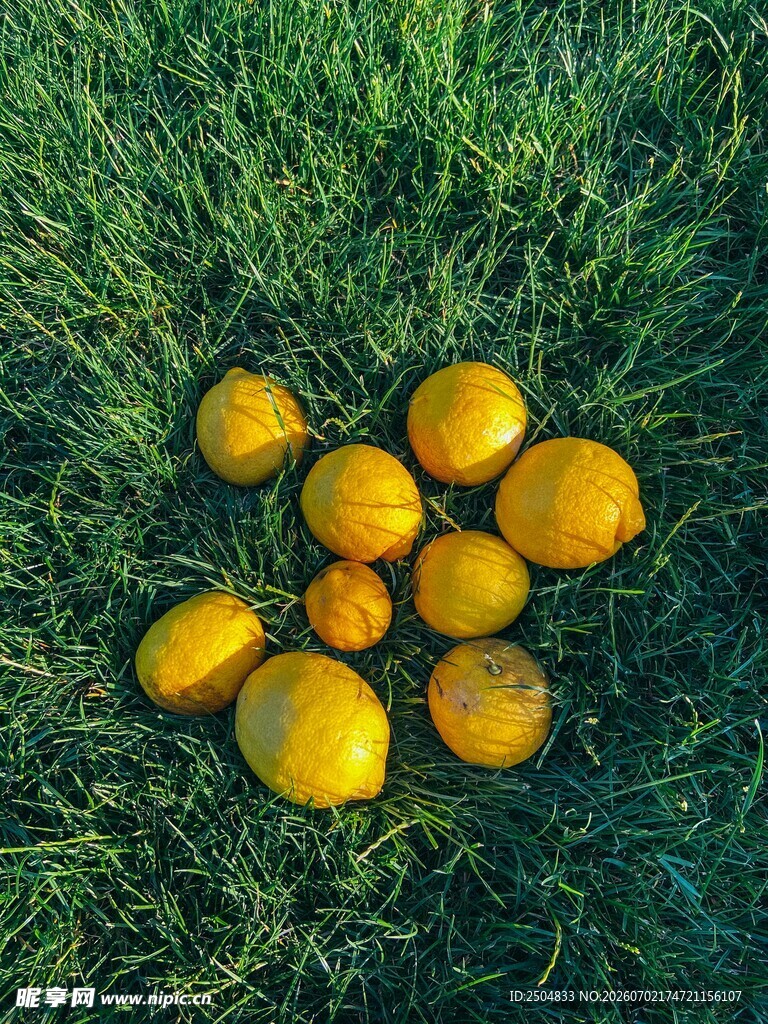 草地上的一堆新鲜黄柠檬