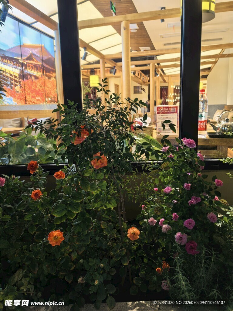 室内花卉景观赏心悦目的美