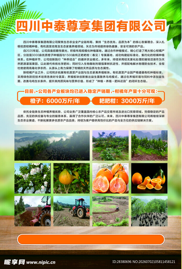 四川中惠薯业宣传展示页