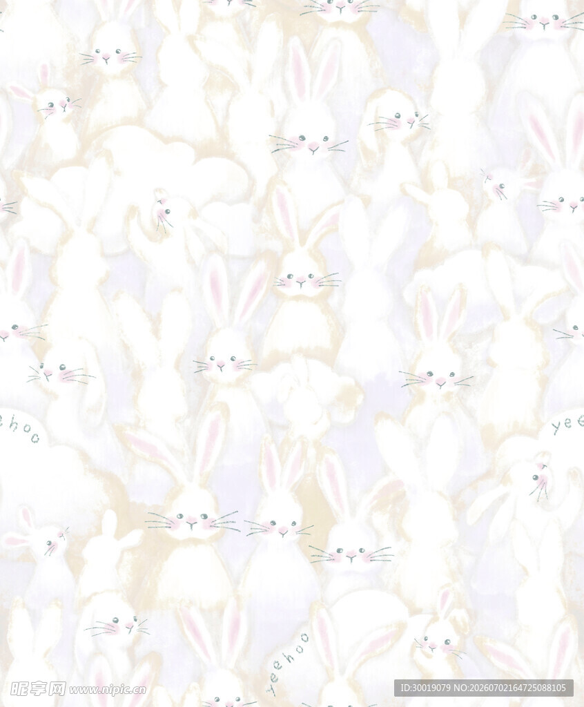小兔子