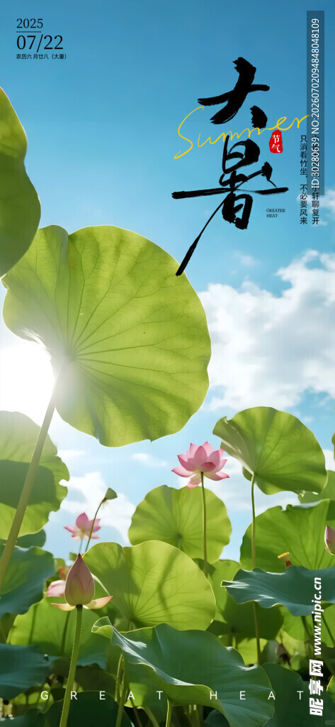 大暑节气           