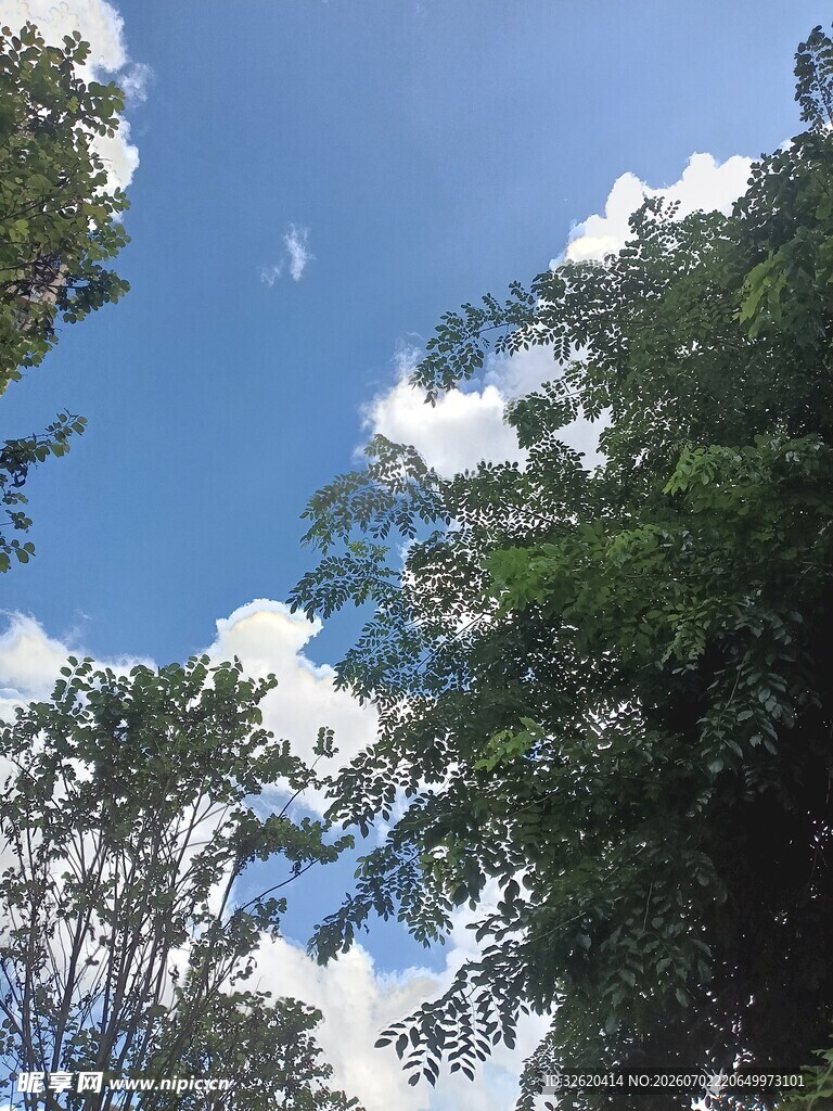 蓝天绿树间的清新景致
