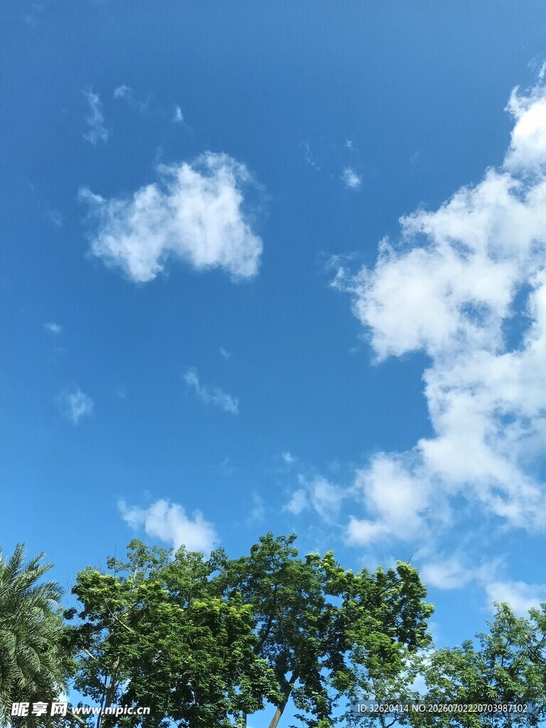 蓝天绿树