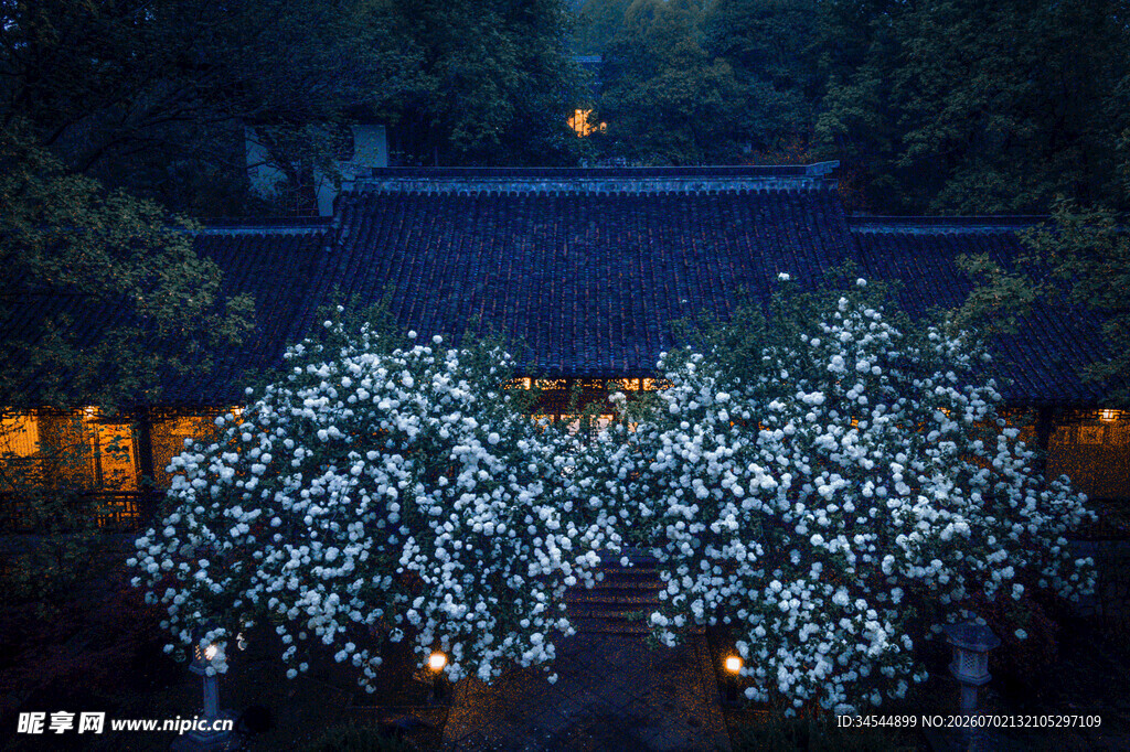 夜中繁花映古宅