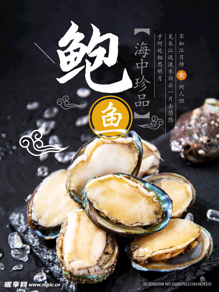 新鲜鲍鱼尽显海味珍品