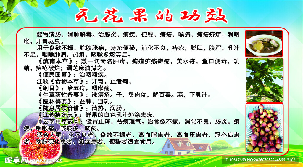 无花果的功效