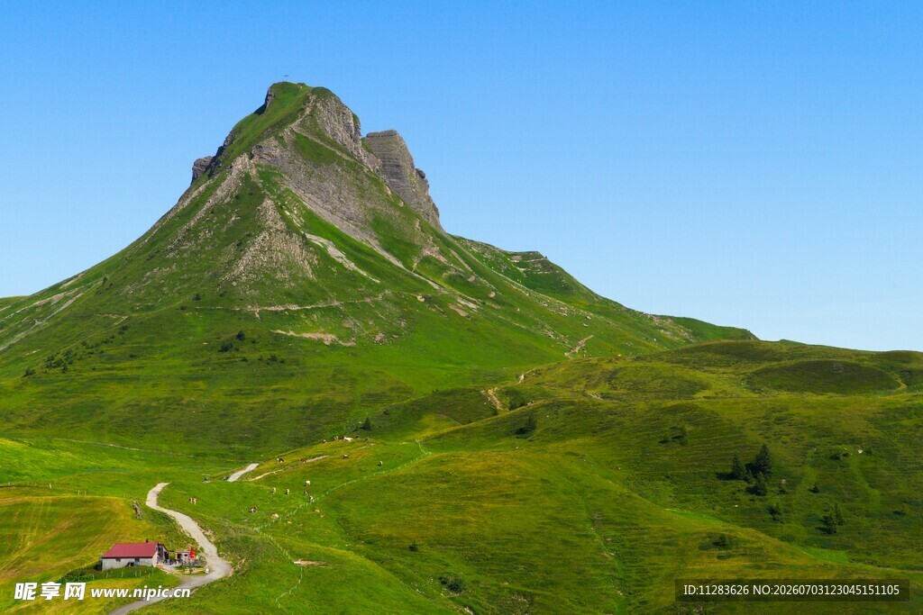 巍峨青山间蜿蜒的小路