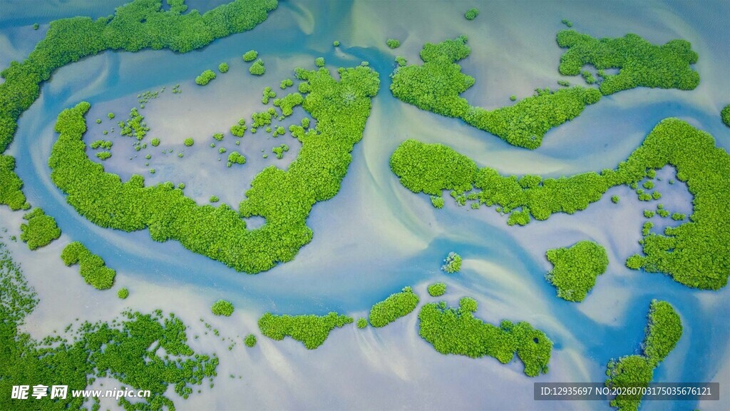 蜿蜒河流
