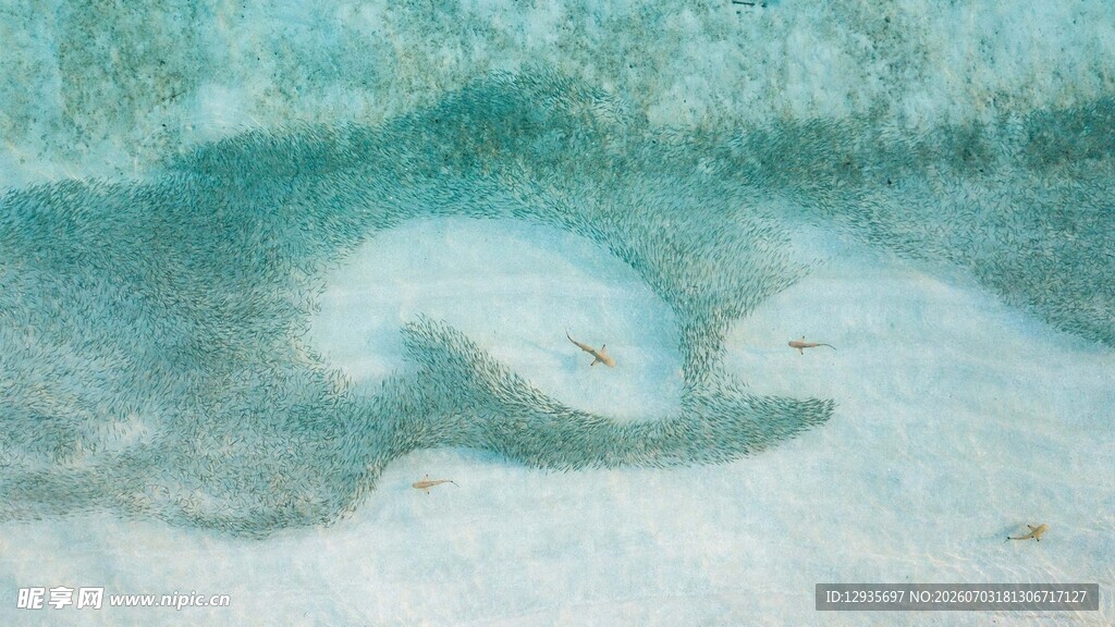 抽象绘画