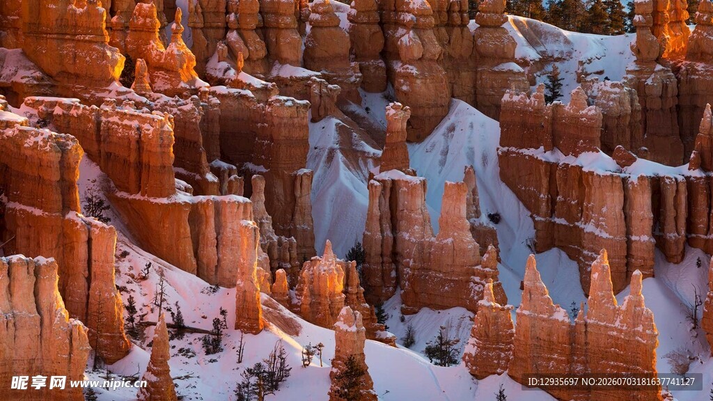 布莱斯峡谷覆雪的奇特岩柱