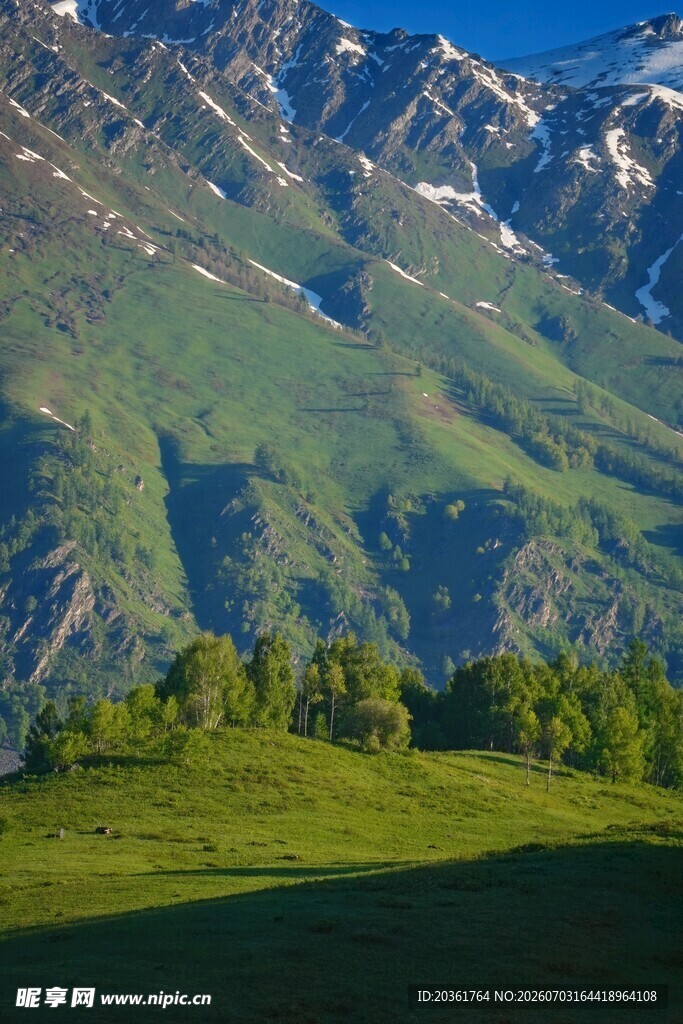 高山绿野风光
