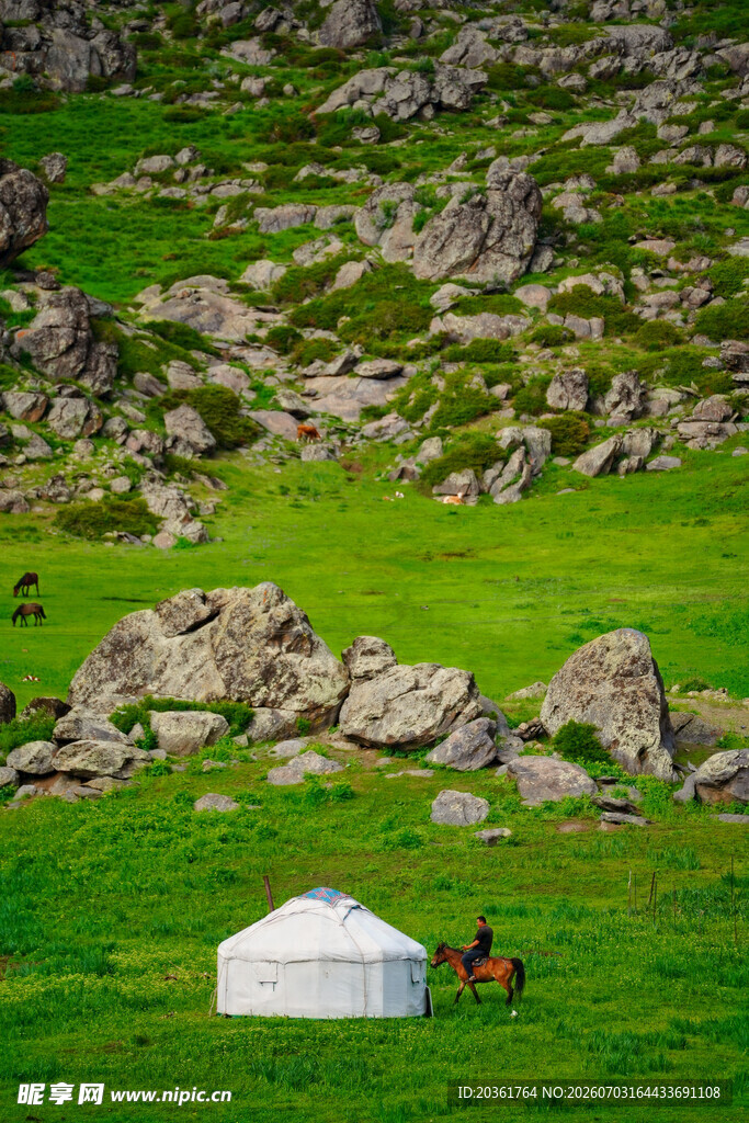 山间草地中的露营场景