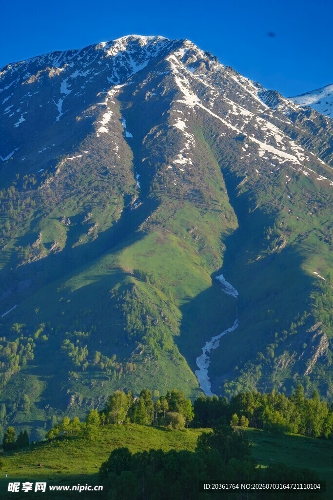 壮丽雪山下的翠绿山峦