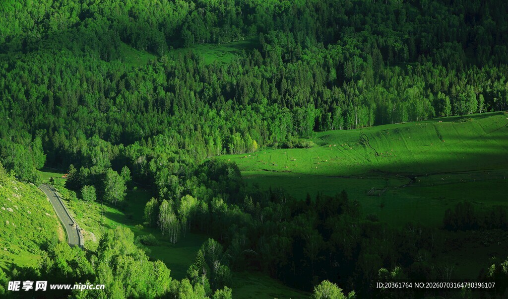 翠绿山林美景