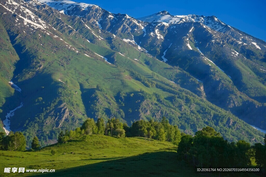 壮丽高山下的翠绿草地