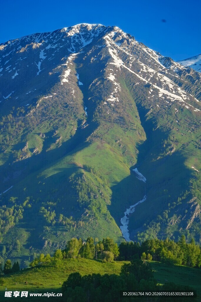 壮丽雪山下的翠绿山峦