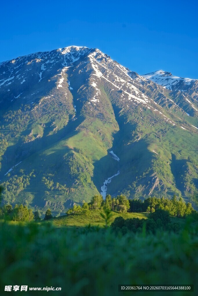壮丽雪山下的翠绿原野