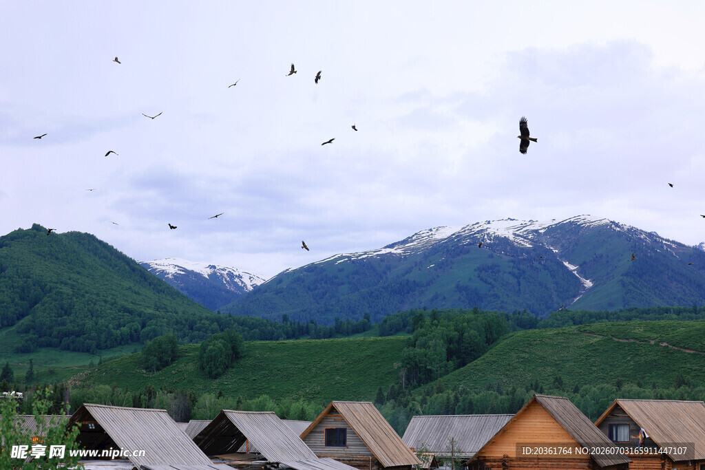 山村上空飞鸟与远山美景