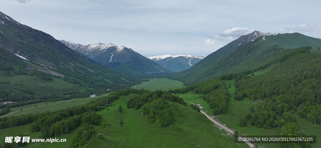 山间绿野公路