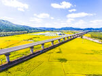 田野上的高架桥风景