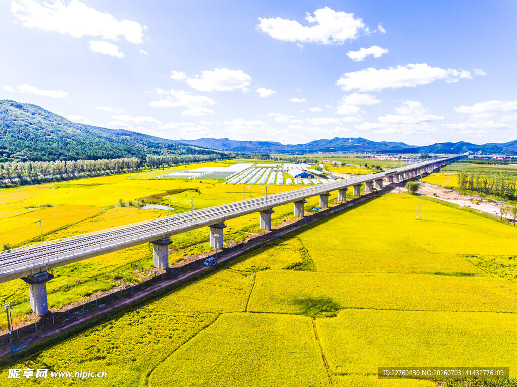 田野上的高架桥风景