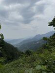 山间绿意云雾缭绕美景
