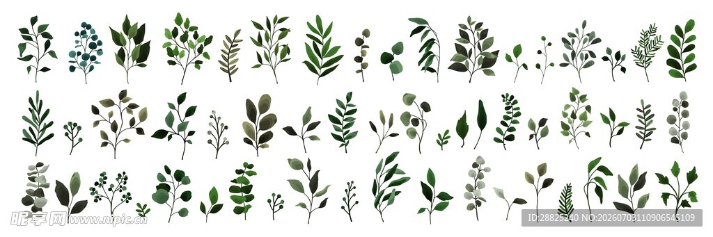 绿植素材合集