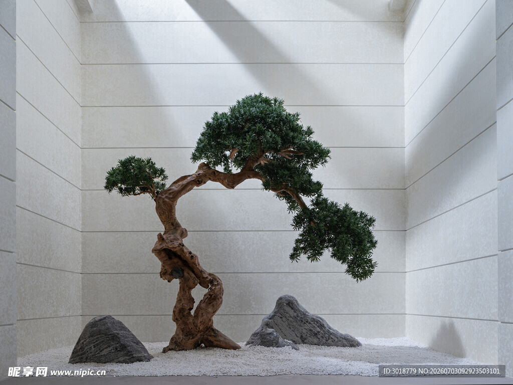 室内盆景景观