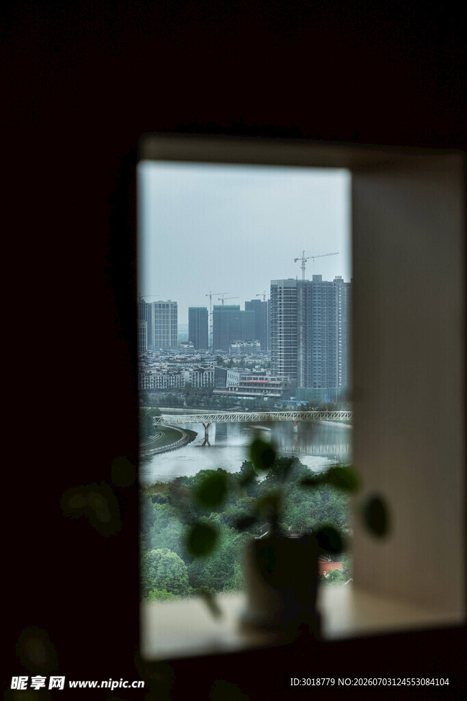 窗边绿植映城市风景