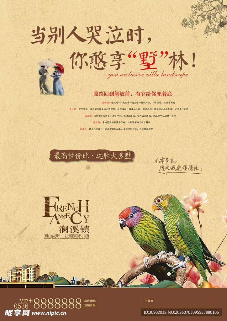 鹦鹉相伴的惬意人居生活