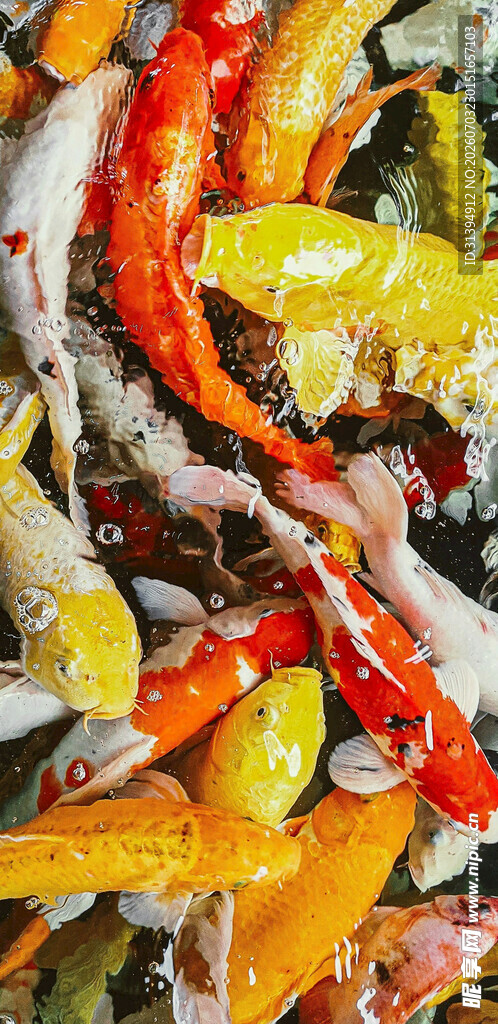 多彩海鲜食材大集合