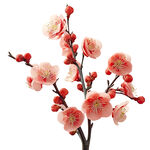 粉色梅花枝
