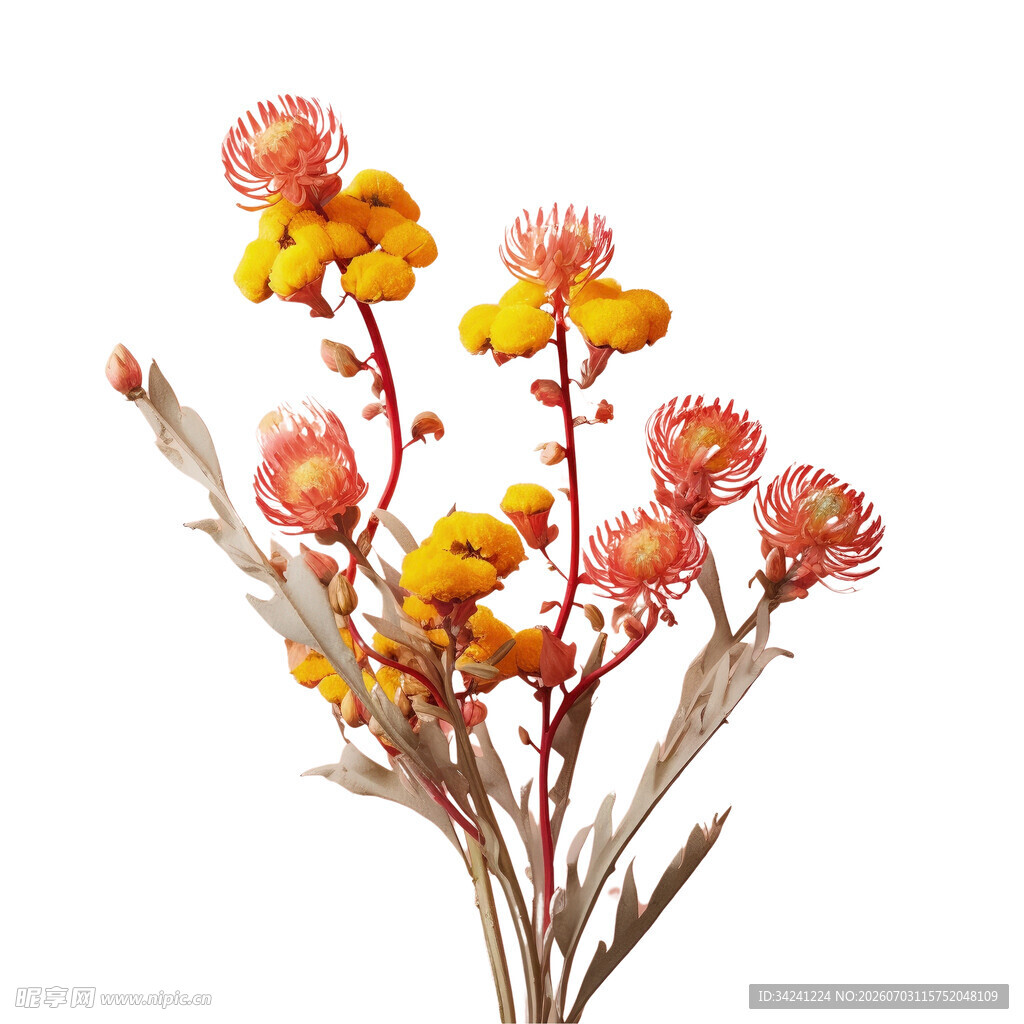 橙黄干花组合
