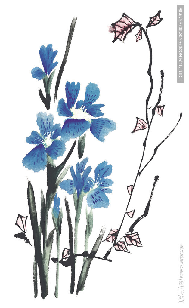 蓝色花卉水彩手绘插画