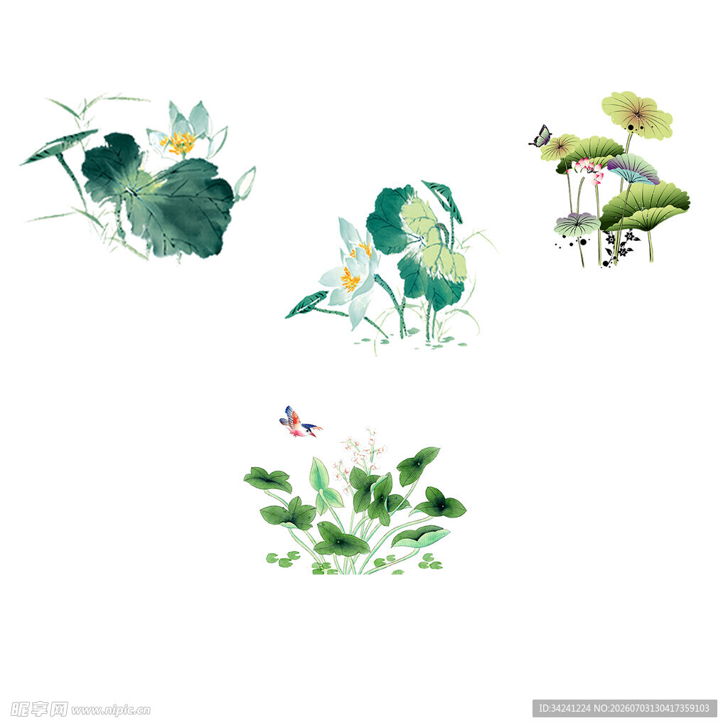 水墨风荷花昆虫插画