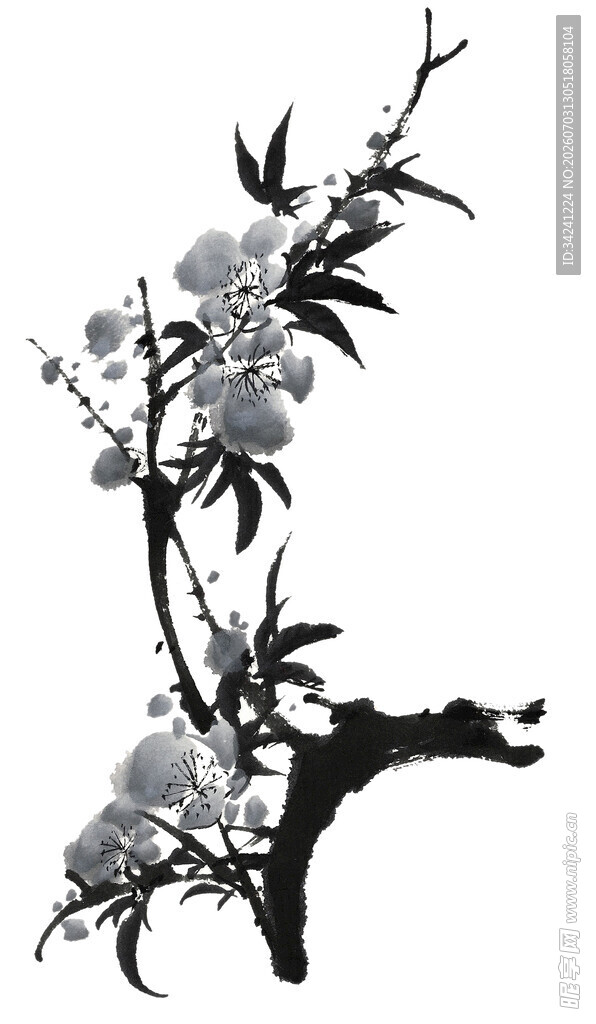 水墨牡丹花枝图