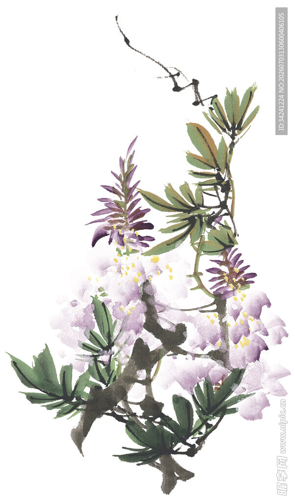 优雅绽放的紫色花枝