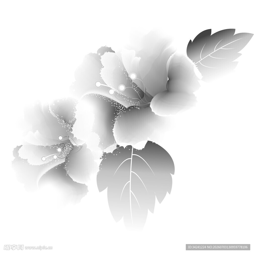 黑白花卉图案