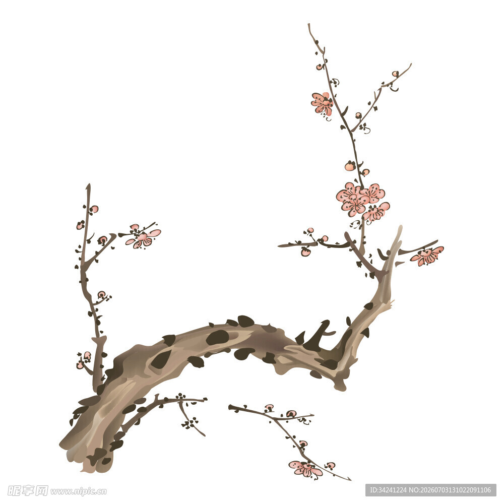 水墨梅花枝头绽放