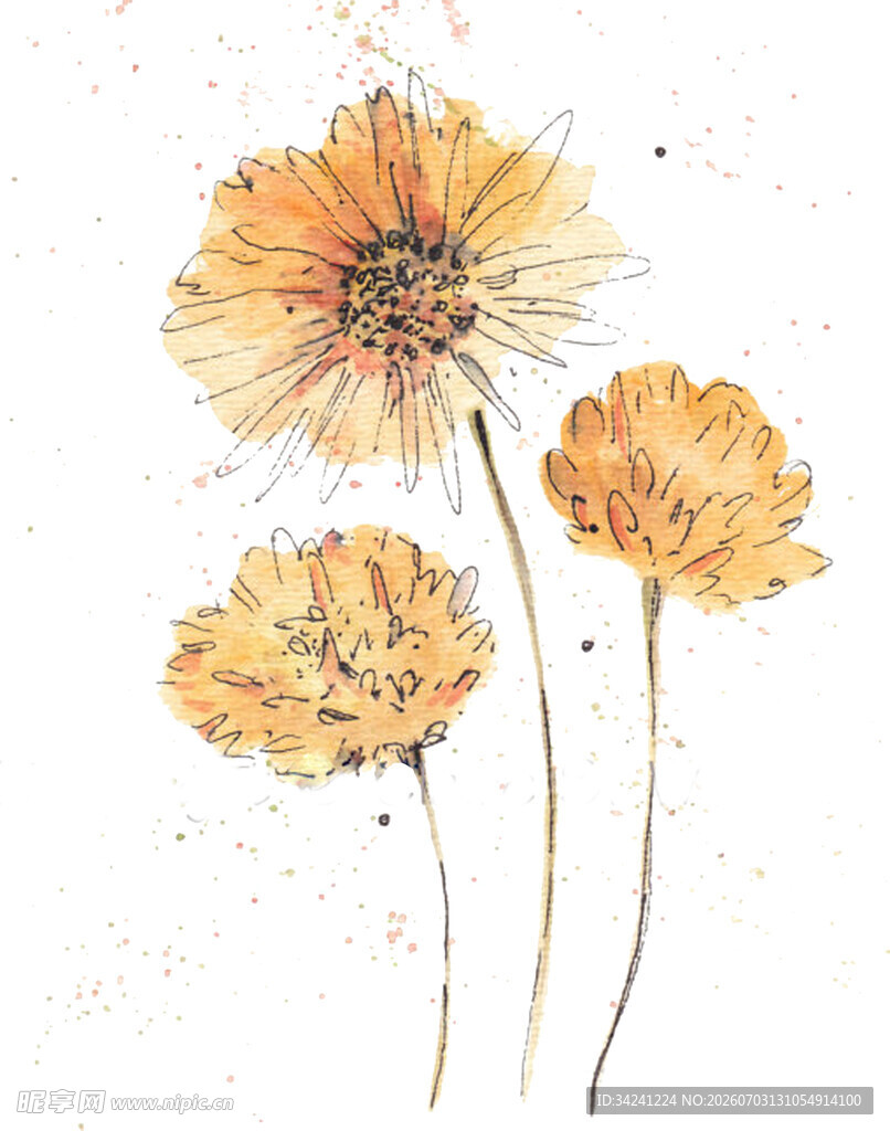 手绘黄色花卉插画