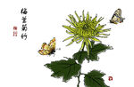 墨韵菊花双蝶图