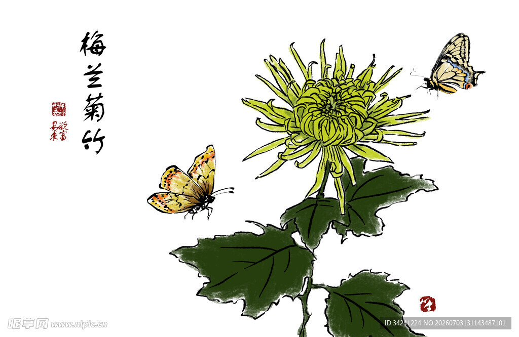 墨韵菊花双蝶图