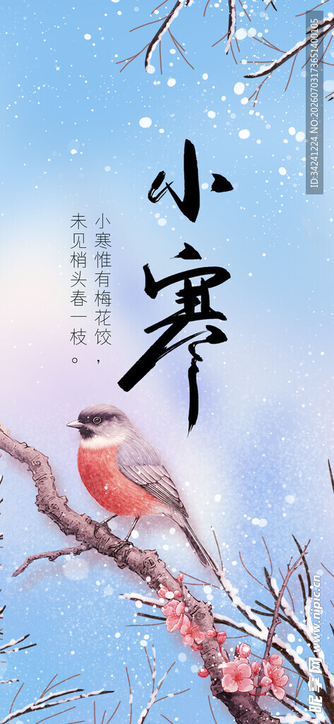 小寒时节枝头鸟景