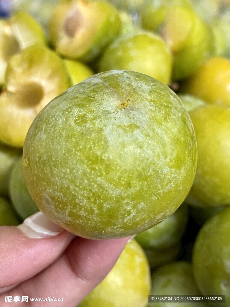 李子